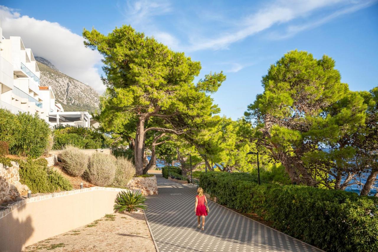 Hotel Tui Blue Makarska - Adults Only 4*
